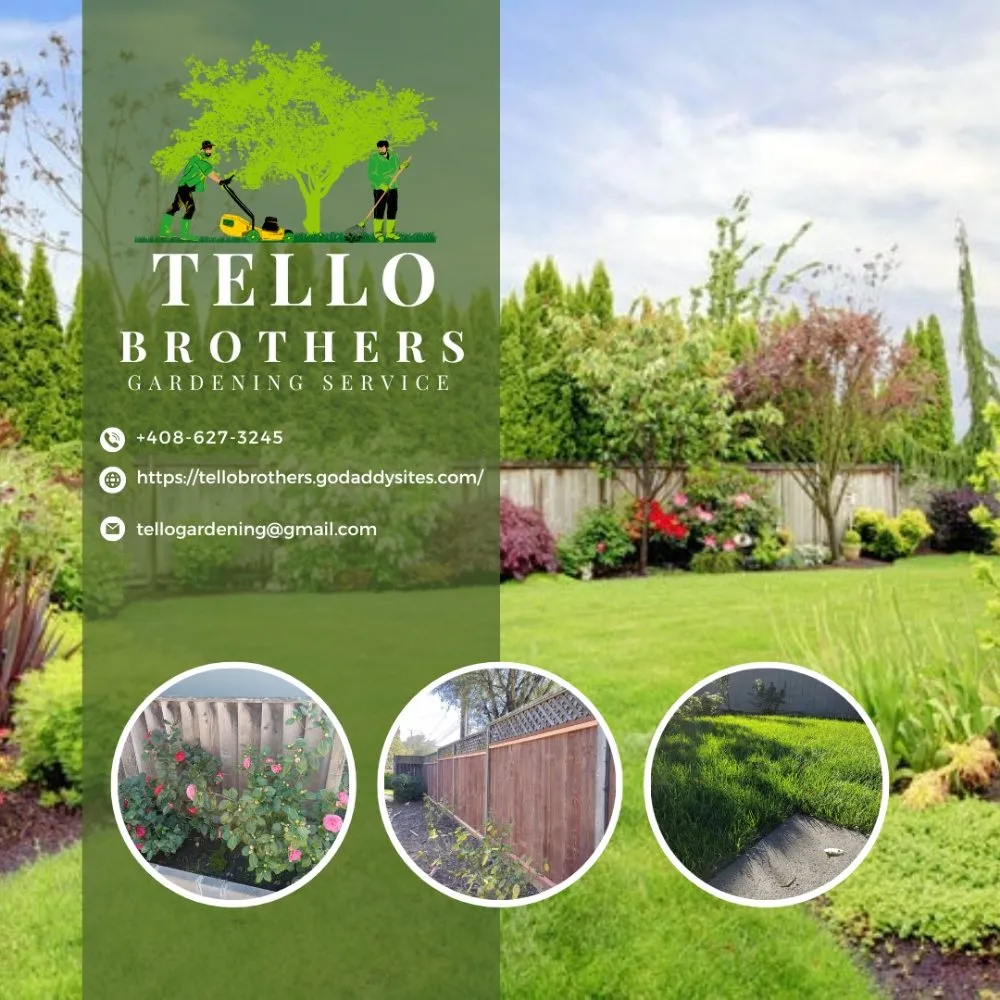 Top-rated landscape design experts serving San Jose, CA - Tello Brothers Gardening Service
