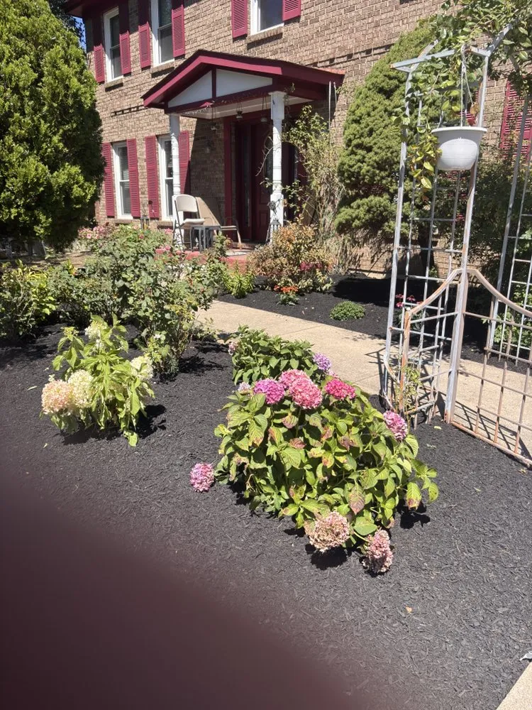 Reliable yard cleanup service near you in West Chester, OH by Tello Trejo Landscaping