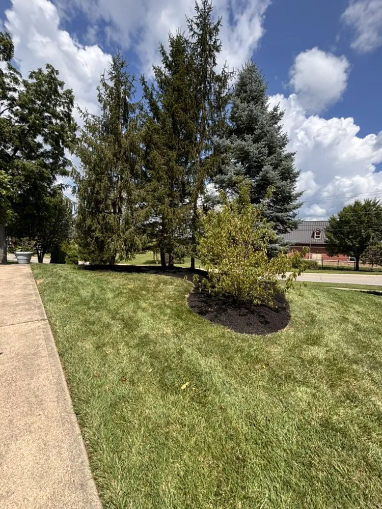 Trusted outdoor landscaping experts serving West Chester, OH - Tello Trejo Landscaping