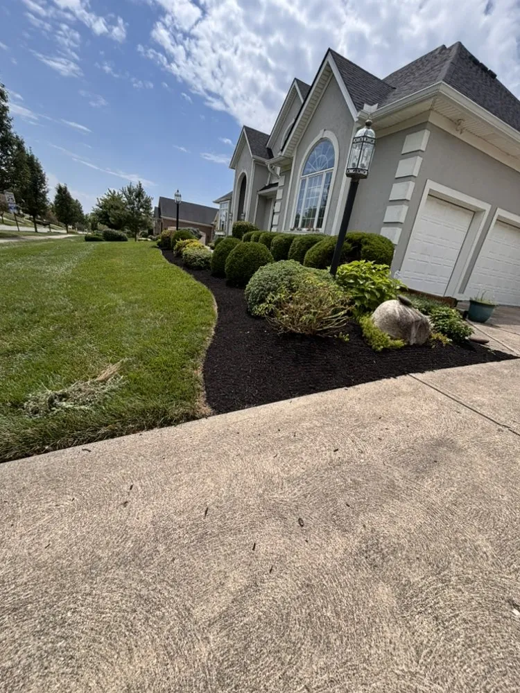 Reliable landscaping services in West Chester, OH by Tello Trejo Landscaping