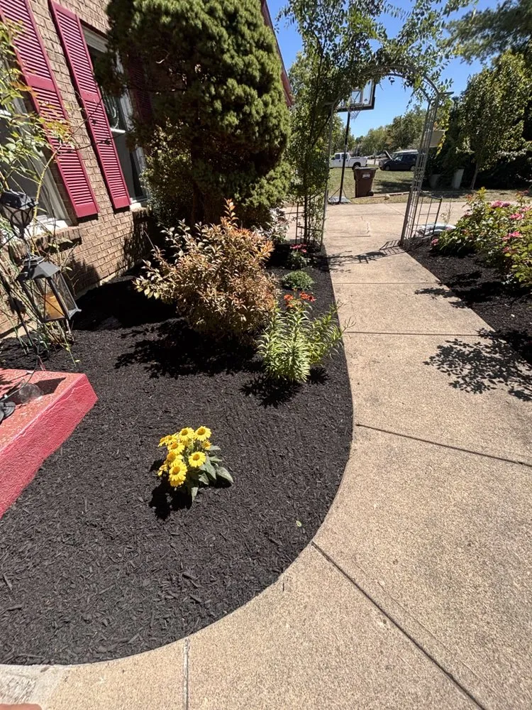 Top-rated yard maintenance for residential properties across West Chester, OH - Tello Trejo Landscaping