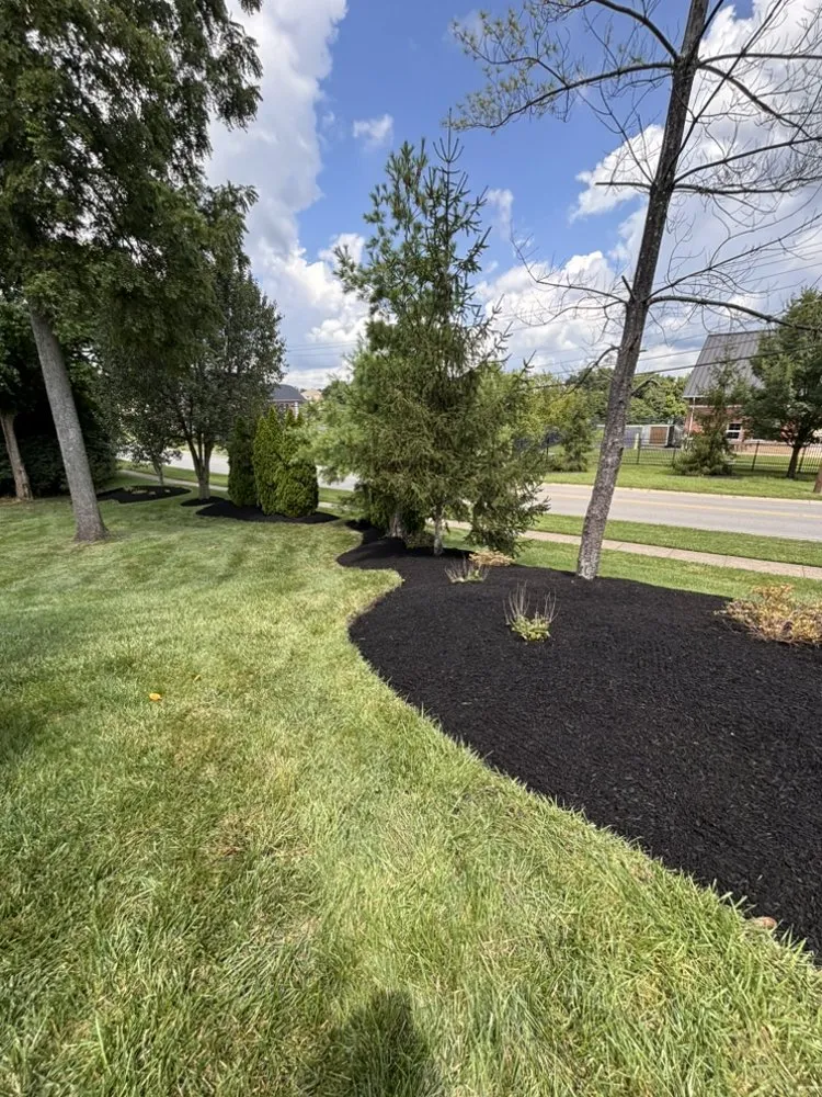 Trusted landscape installation in West Chester, OH by Tello Trejo Landscaping