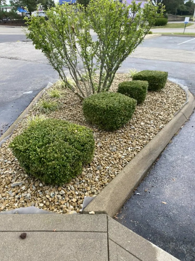 Affordable outdoor landscaping experts serving West Chester, OH - Tello Trejo Landscaping
