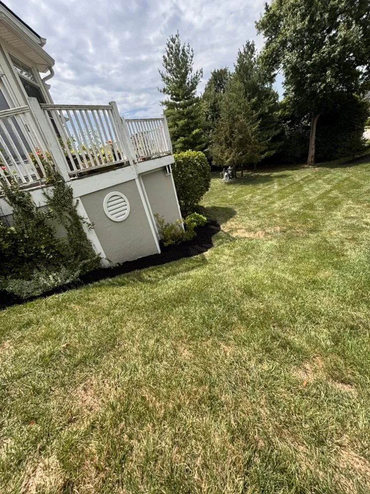 Professional yard maintenance in West Chester, OH by Tello Trejo Landscaping