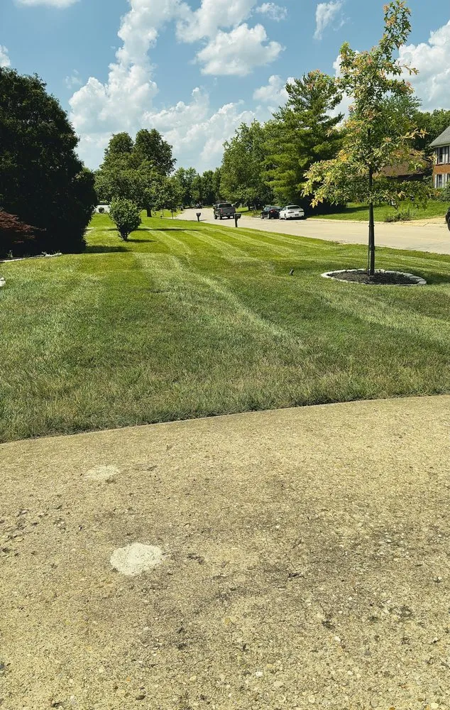 Professional landscape installation experts serving West Chester, OH - Tello Trejo Landscaping