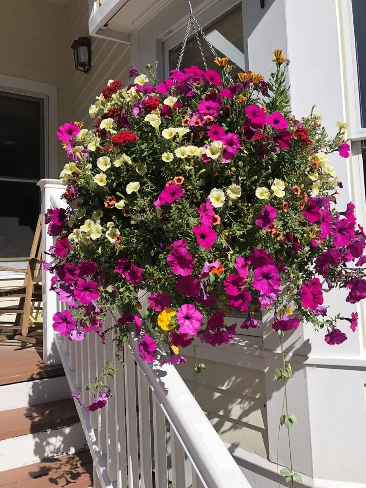 Local landscape installation for residential properties in Telluride, CO by Telluride Eco Lawn & Garden