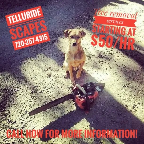 Local landscape installation for residential properties across Telluride, CO - Telluride scapes