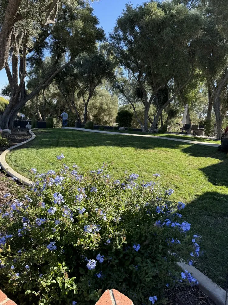Top-rated yard maintenance with custom design in Hemet, CA by Temecula Valley Landscaping