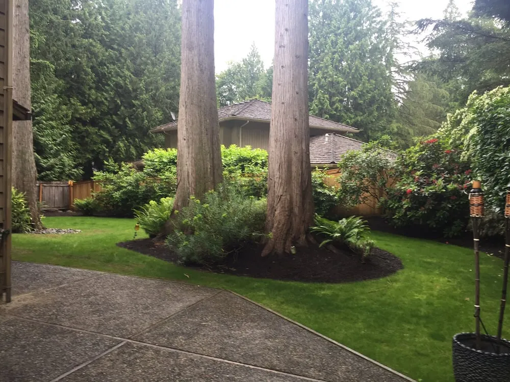Local outdoor landscaping for year-round maintenance in Bothell, WA by Temo's Landscape