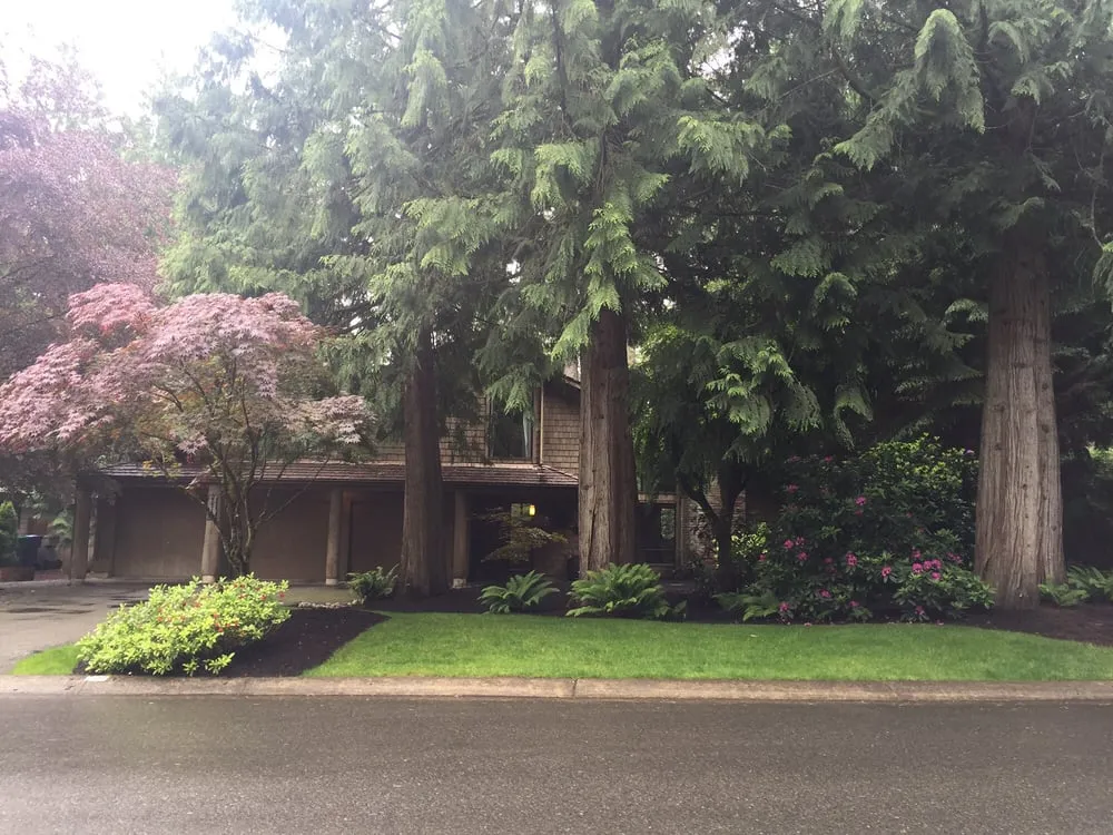 Trusted garden landscaping in Bothell, WA - Temo's Landscape