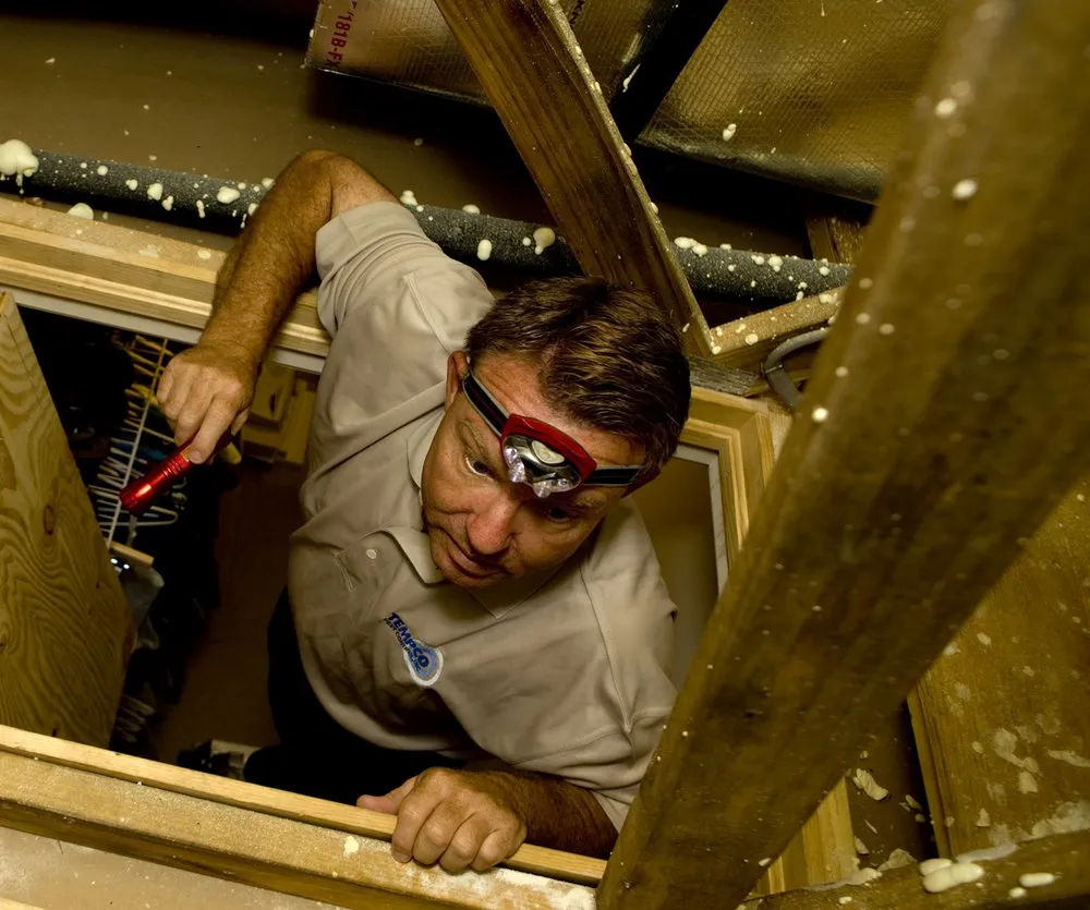 Expert landscaping services in Fort Myers, FL by Tempco Pest Control