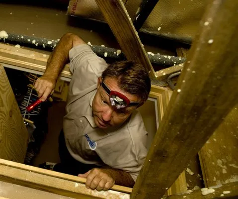 Tempco Pest Control Logo