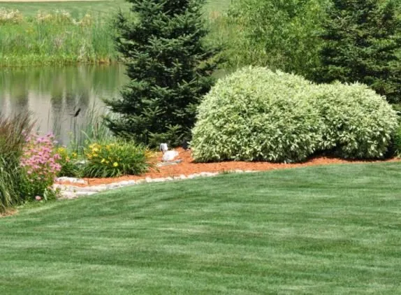 Trusted outdoor landscaping in Fayetteville, NC - Templar Landscaping
