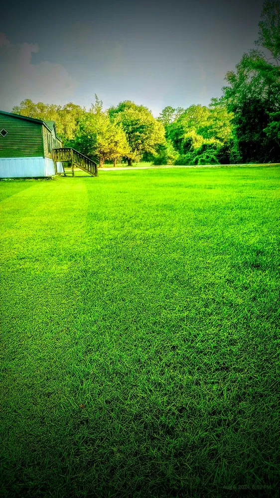 Local lawn care service experts serving Pride, LA - Temple Lawn Services