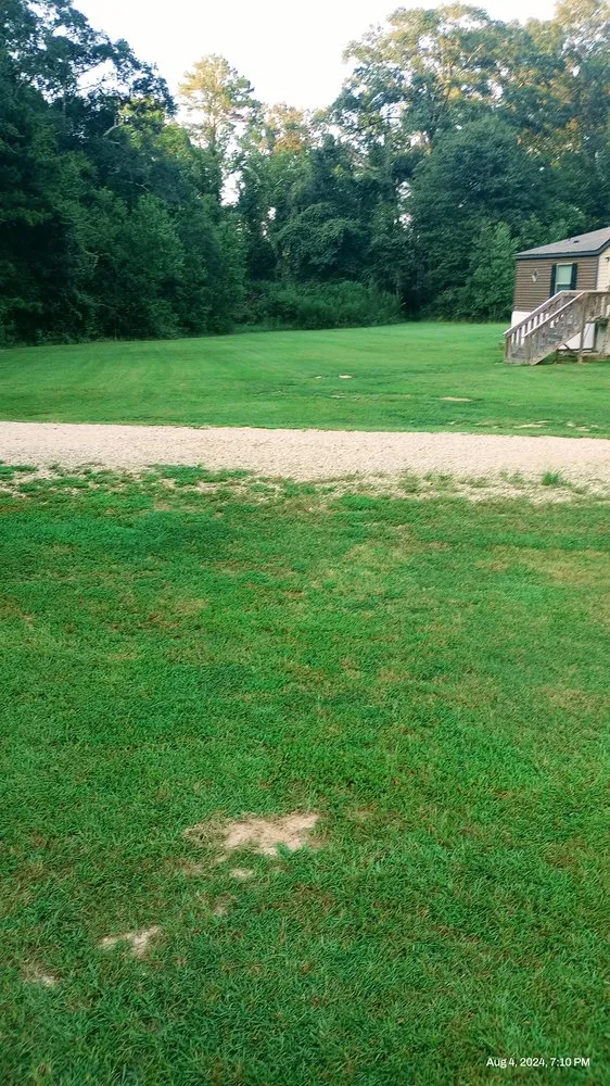 Expert lawn care service in Pride, LA - Temple Lawn Services