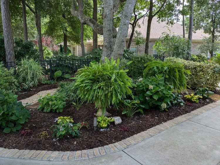 Trusted lawn mowing service experts serving Wilmington, NC - Temple of Bloom Landscaping & Design