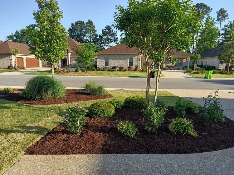 Trusted residential landscaping in Wilmington, NC by Temple of Bloom Landscaping & Design