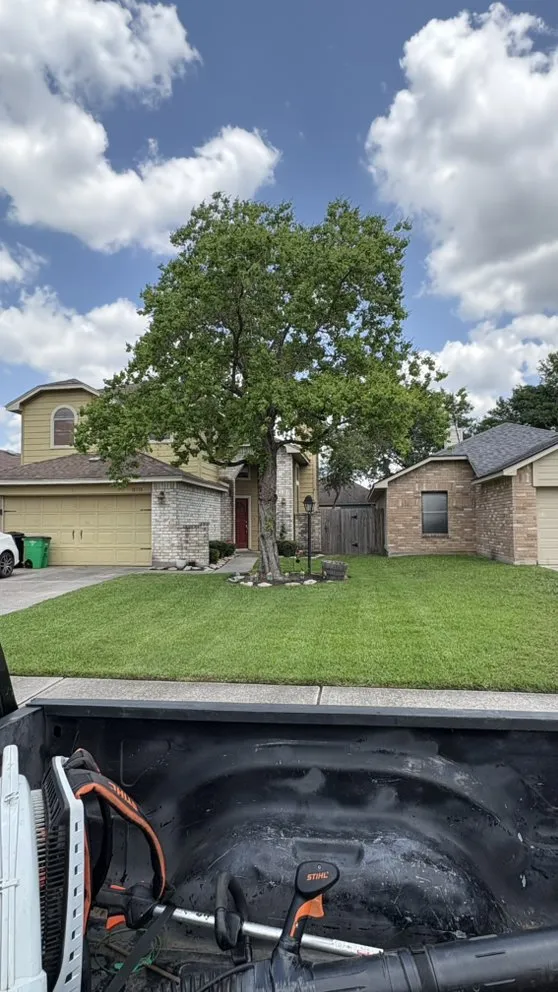 Top-rated garden landscaping near you across Cypress, TX - Temsi Lawn Care