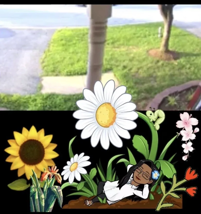 Expert residential landscaping for beautiful yards across Laurel, MD - Tenango landscaping