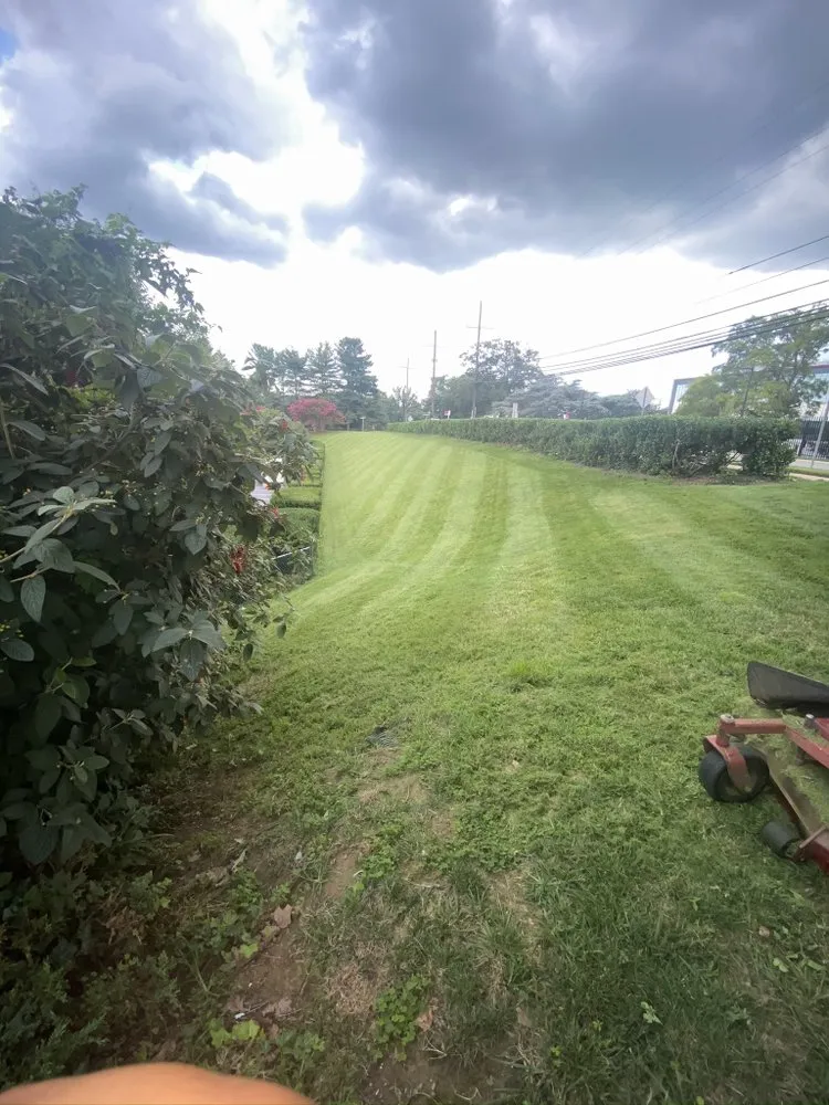 Top-rated residential landscaping experts serving Laurel, MD - Tenango landscaping