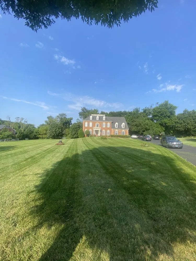 Top-rated yard cleanup service experts serving Laurel, MD - Tenango landscaping