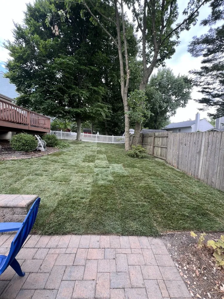 Custom landscape design in Silver Spring, MD - Tenango landscaping