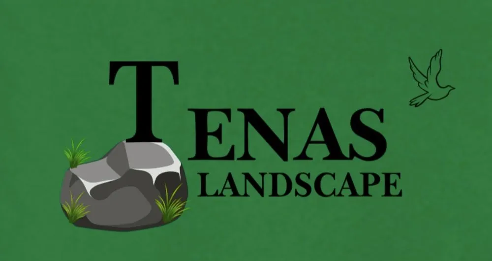 Professional outdoor landscaping in Auburn, CA by Tenas Landscape