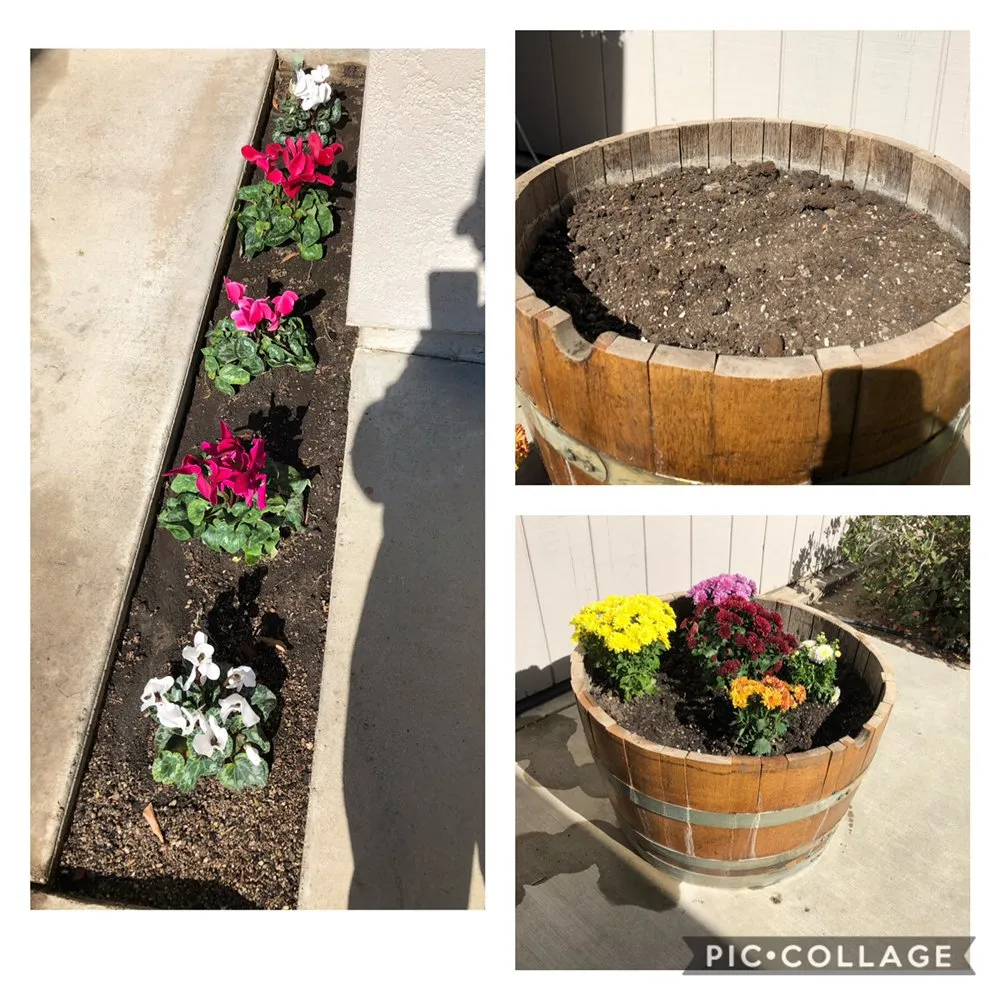 Top-rated yard maintenance experts serving Turlock, CA - Tena’s Lawn Maintenance