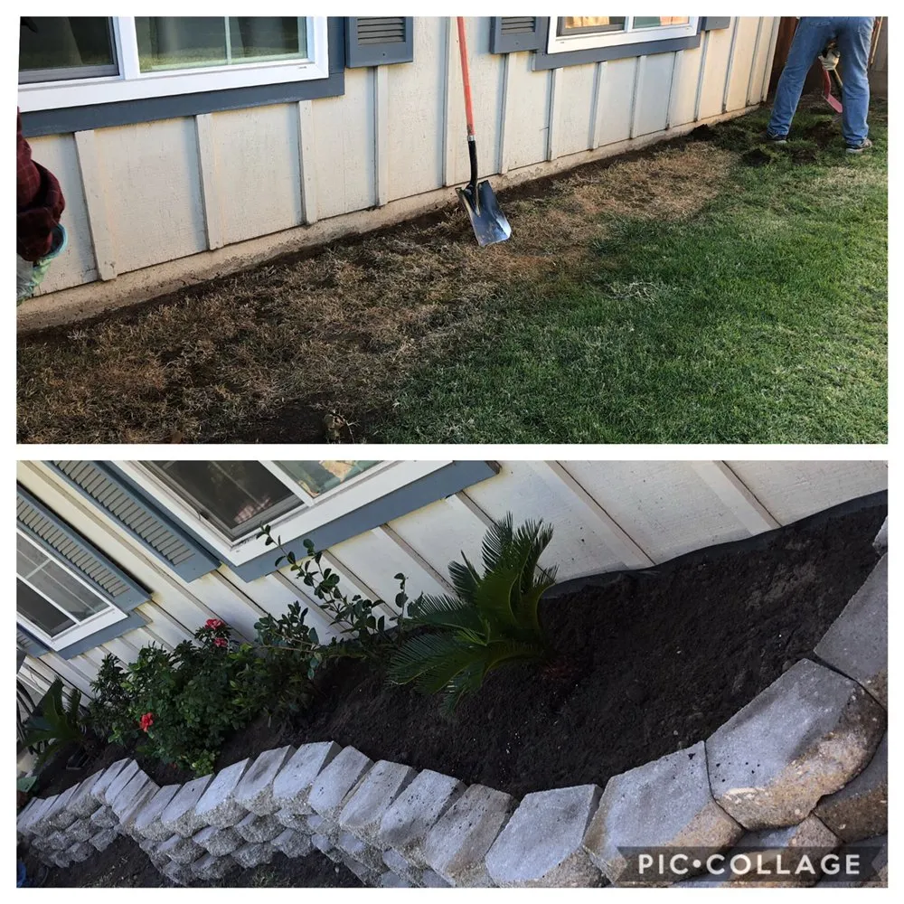 Reliable yard cleanup service in Turlock, CA by Tena’s Lawn Maintenance