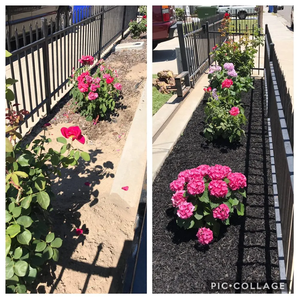 Trusted outdoor landscaping for outdoor upgrades across Turlock, CA - Tena’s Lawn Maintenance