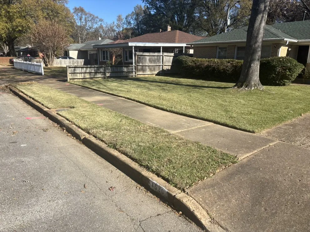 Affordable lawn care service in Southaven, MS by Tency J & W Lawn Services