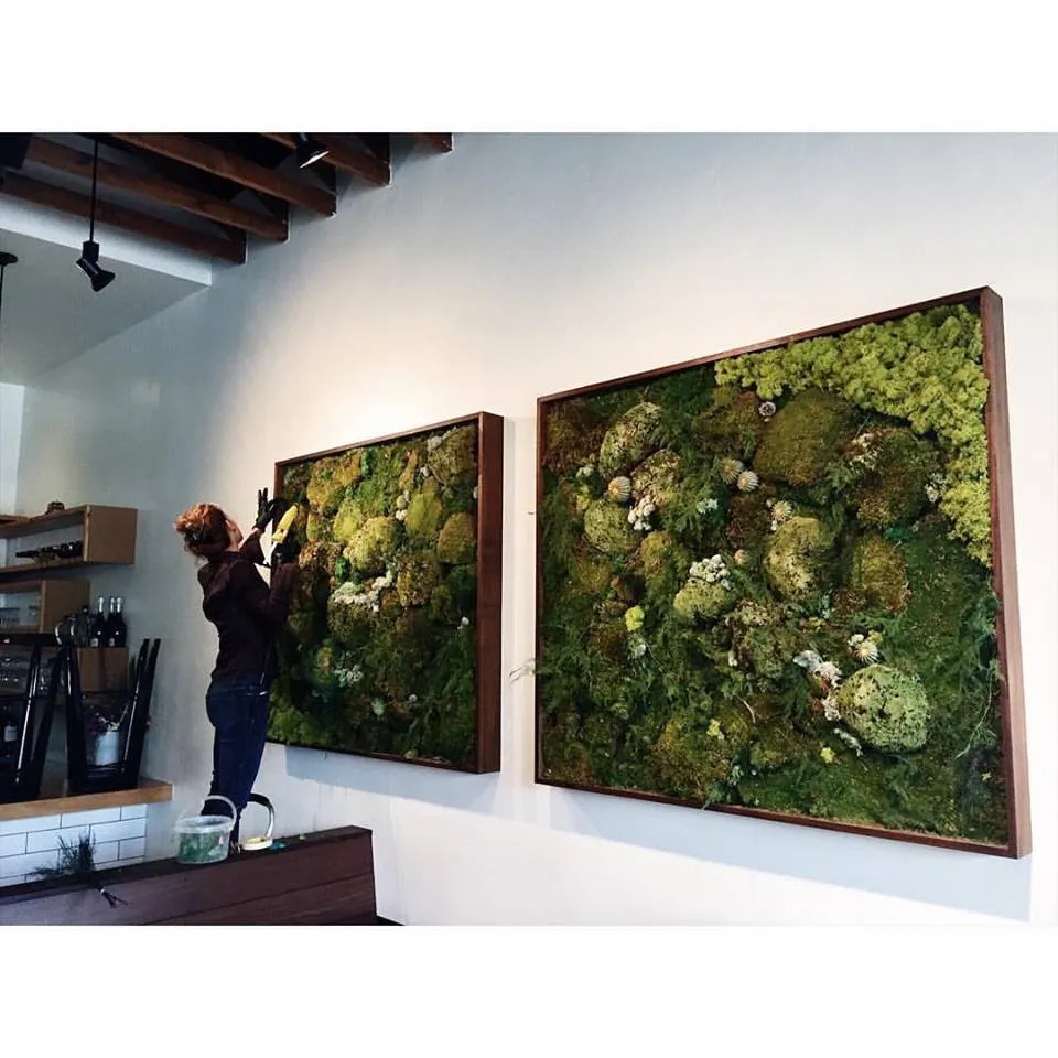 Local lawn mowing service for beautiful yards across San Diego, CA - Tend