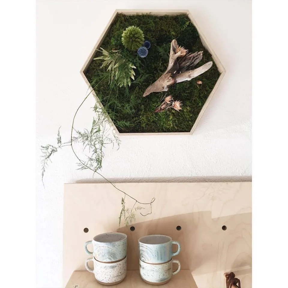 Professional yard cleanup service experts serving San Diego, CA - Tend