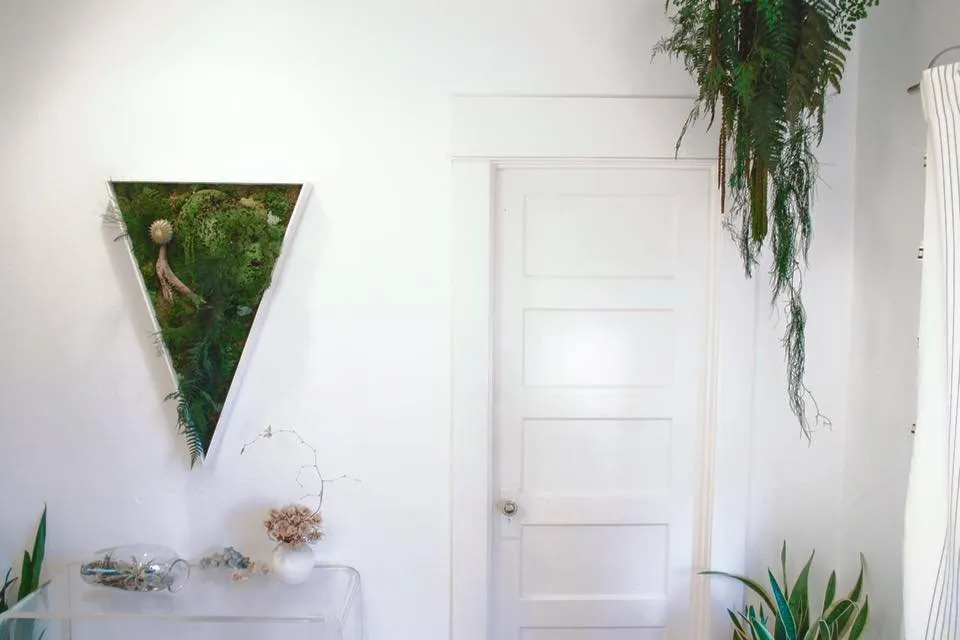 Affordable yard cleanup service in San Diego, CA by Tend