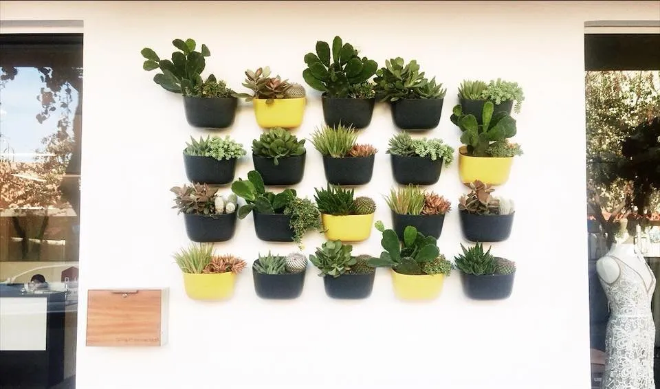 Local garden landscaping near you in San Diego, CA by Tend