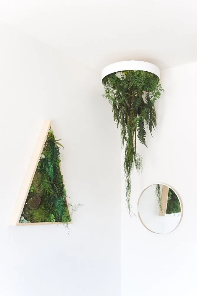 Affordable landscaping services for beautiful yards in San Diego, CA by Tend