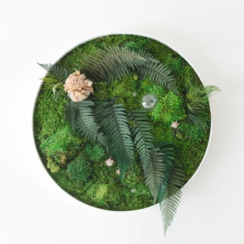 Trusted landscape design for year-round maintenance in San Diego, CA by Tend