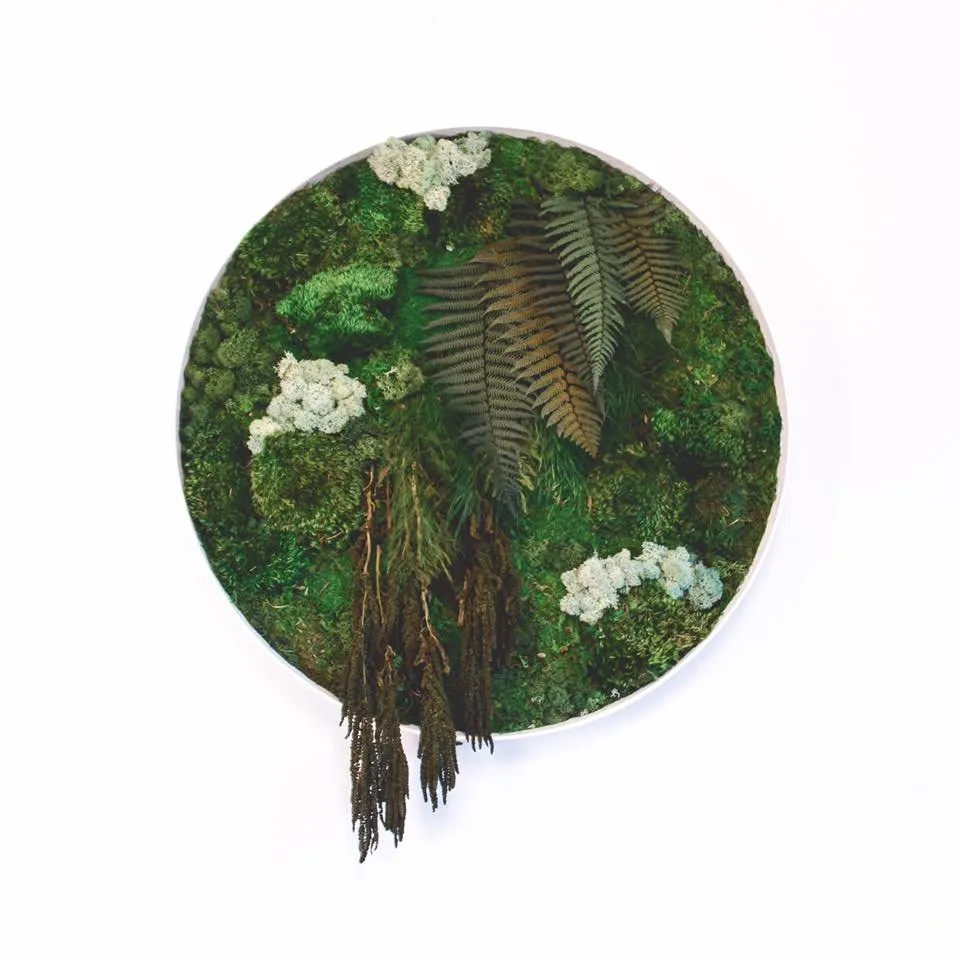 Expert outdoor landscaping for outdoor upgrades across San Diego, CA - Tend