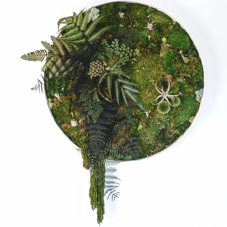 Trusted landscape design for year-round maintenance across San Diego, CA - Tend