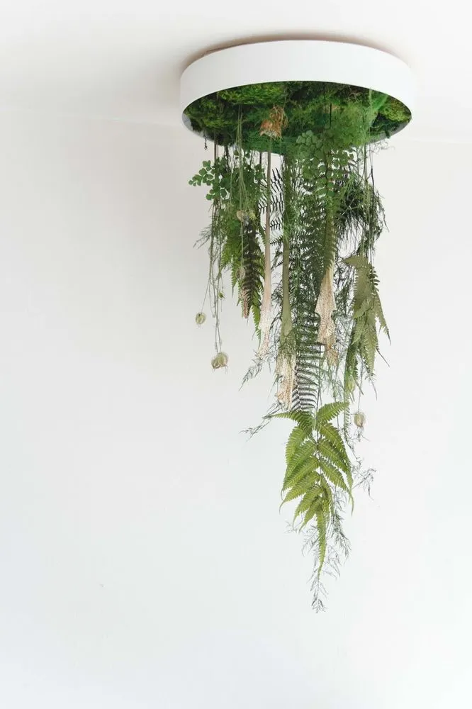 Professional yard cleanup service in San Diego, CA by Tend