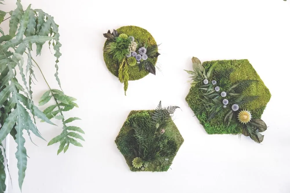 Professional yard cleanup service in San Diego, CA by Tend