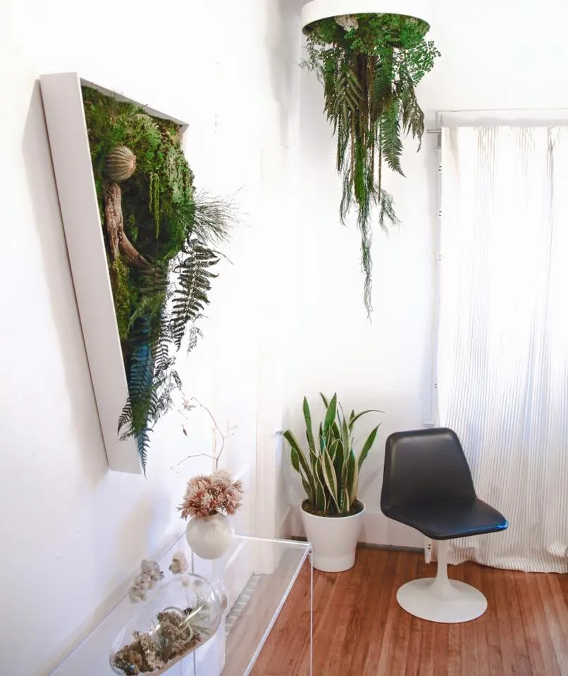 Professional garden landscaping in San Diego, CA - Tend