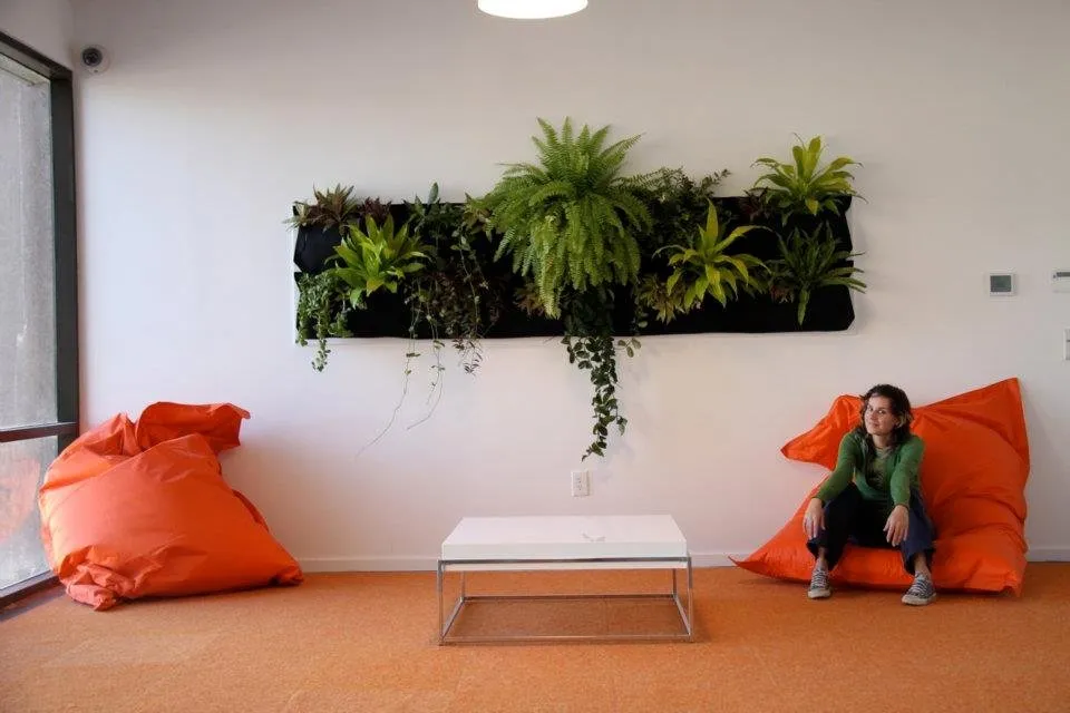 Expert lawn care service for outdoor upgrades across San Diego, CA - Tend