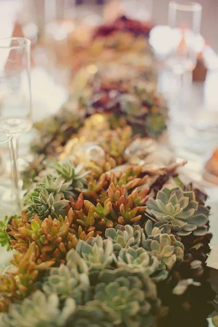 Reliable landscape installation in San Diego, CA by Tend