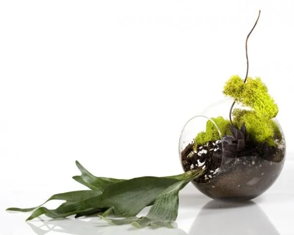 Local garden landscaping for homes across San Diego, CA - Tend