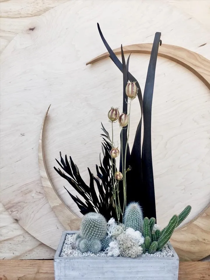 Expert landscaping services for homes across San Diego, CA - Tend