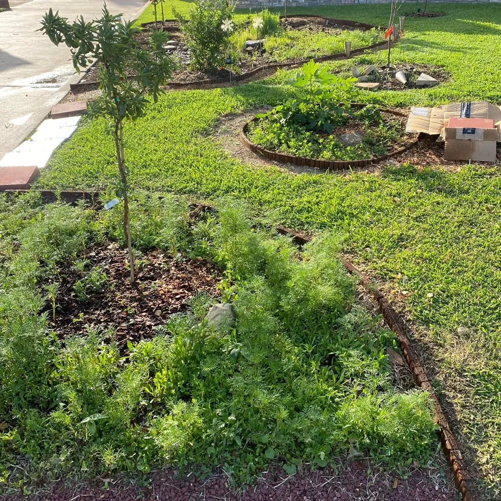 Local landscape design for year-round maintenance in Wichita Falls, TX by Tend the Land