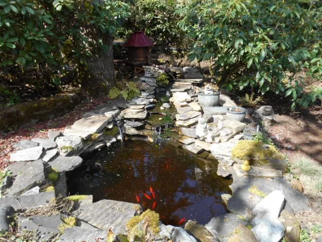 Professional outdoor landscaping in Eugene, OR by Tender Earth Yard Care