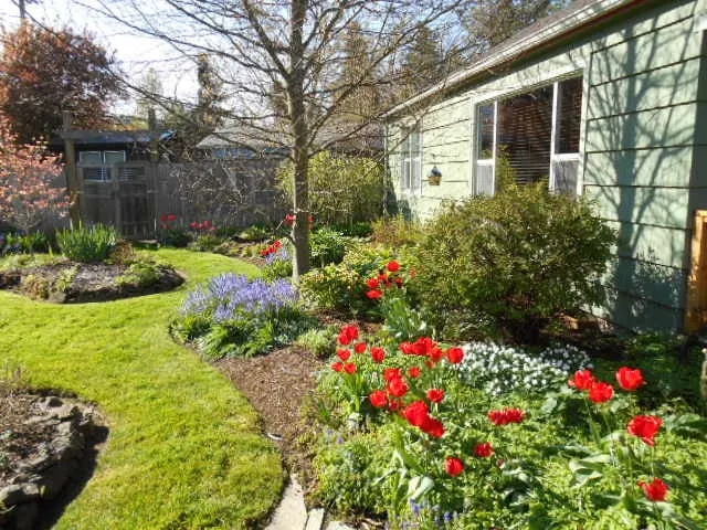 Expert landscape installation in Eugene, OR - Tender Earth Yard Care