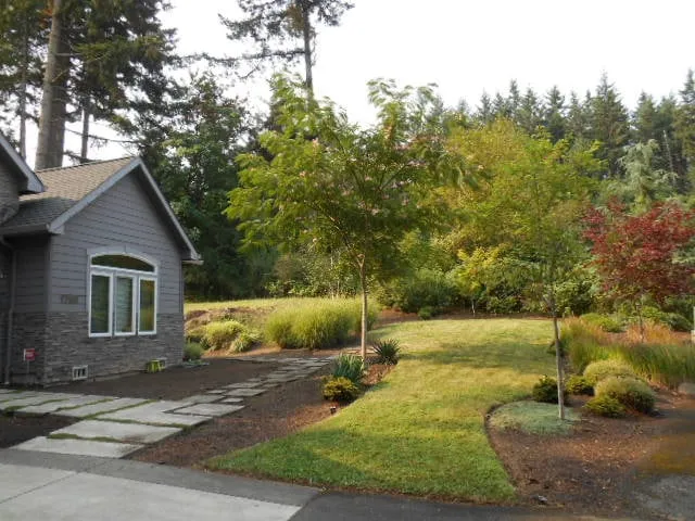 Affordable yard cleanup service for homes in Eugene, OR by Tender Earth Yard Care